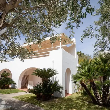 Palummera Forio di Ischia